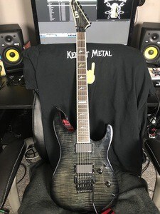 ESP LTD M-1000 Deluxe 6 string guitar